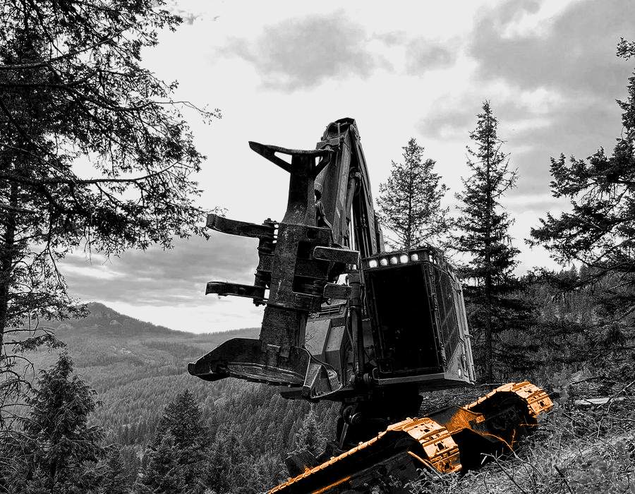 Forestry machine working on a timbered hillside