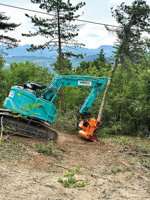Wreko WTC shear grapple clearing on a hillside